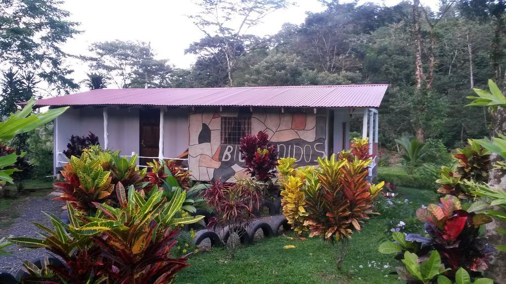 Nacientes Lodge 比加瓜 外观 照片